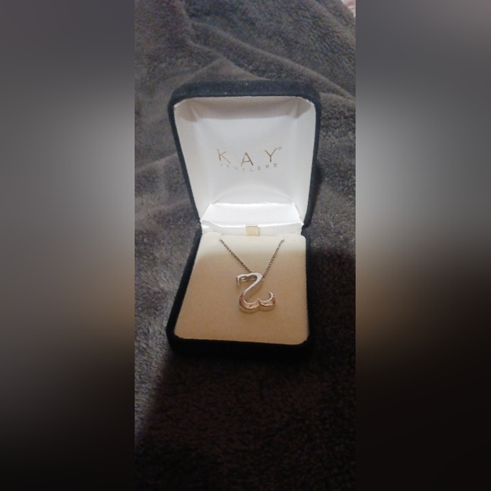 925 sterling silver necklace and pendant